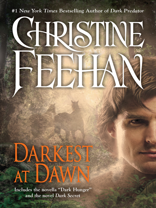 Cover image for Darkest at Dawn